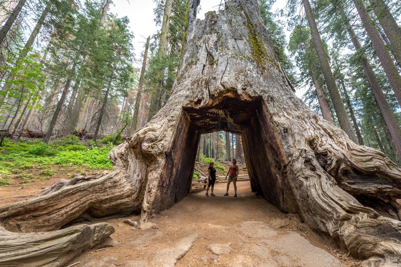 Rush Creek Lodge At Yosemite Groveland Zewnętrze zdjęcie